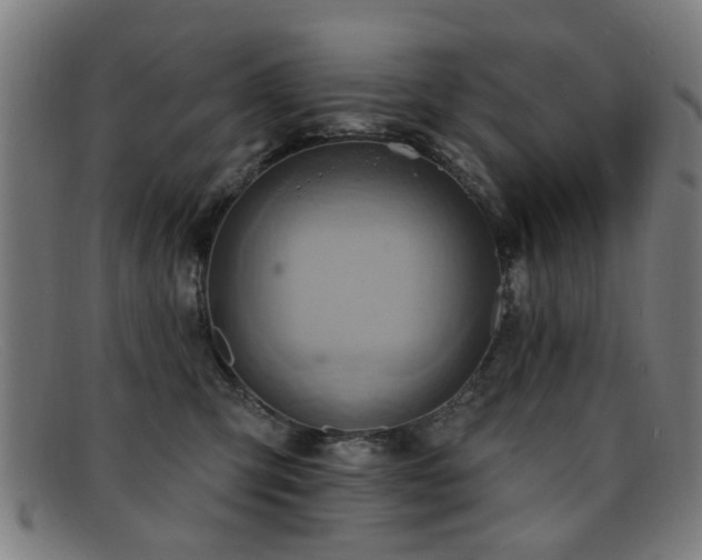 X0000092110423200709121622