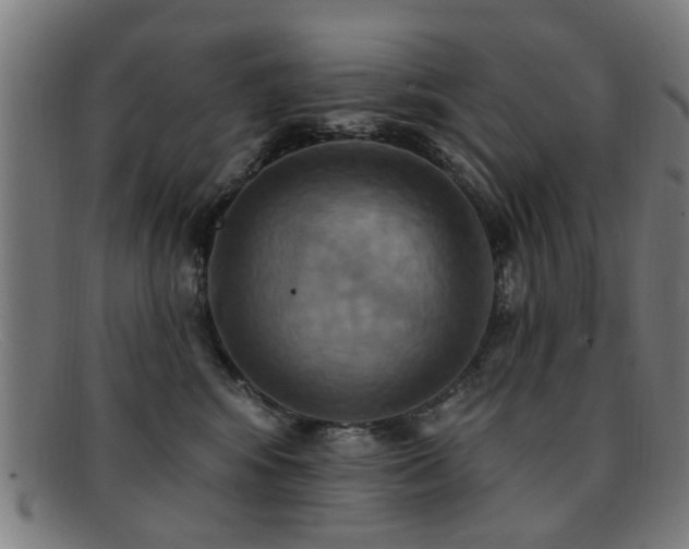 X0000092110424200709121622