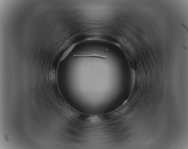 X0000092110425200709121622