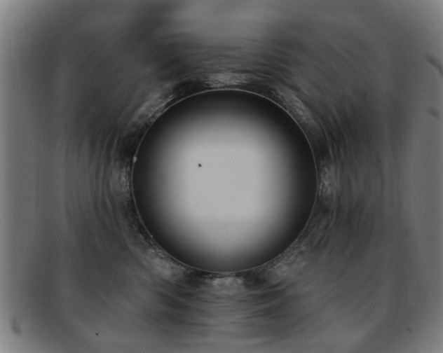 X0000092110426200709121622