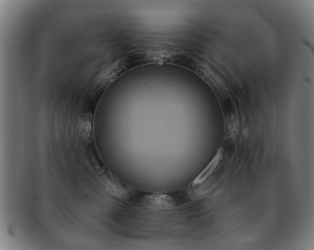 X0000092110427200709121622