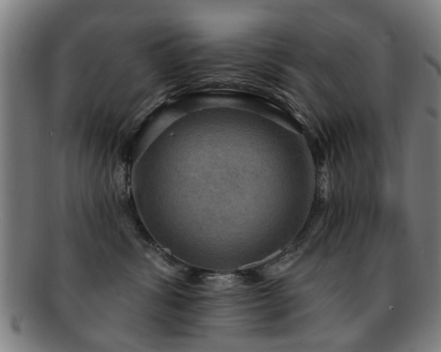 X0000092110428200709121621