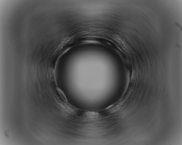 X0000092110429200709121621