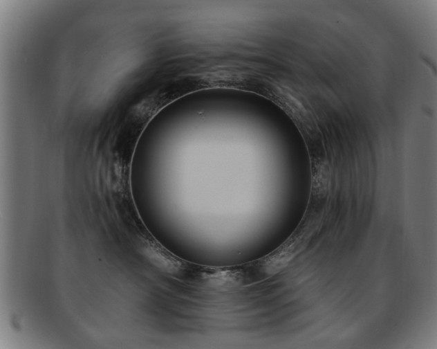 X0000092110430200709121621