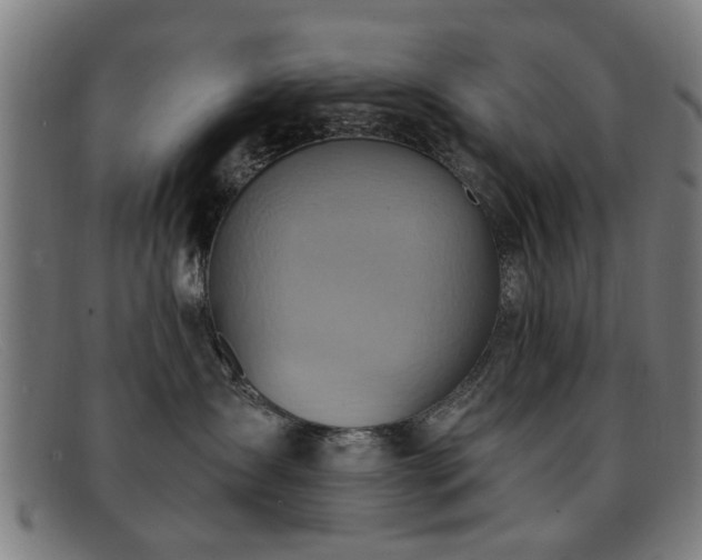 X0000092110431200709121621