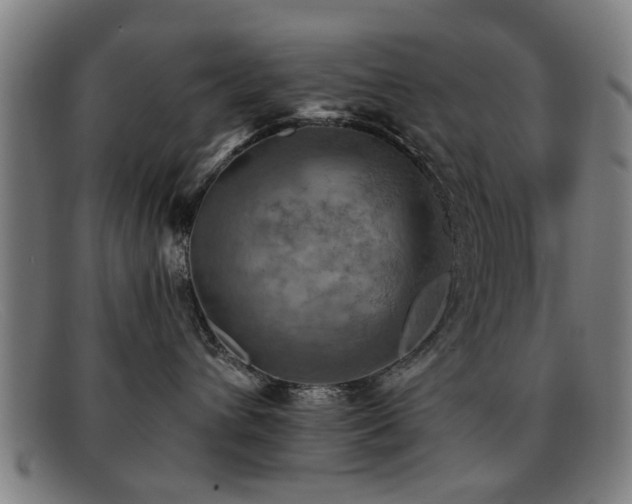 X0000092110432200709121621