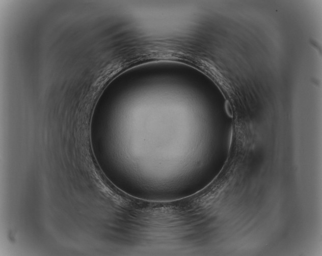 X0000092110433200709121621