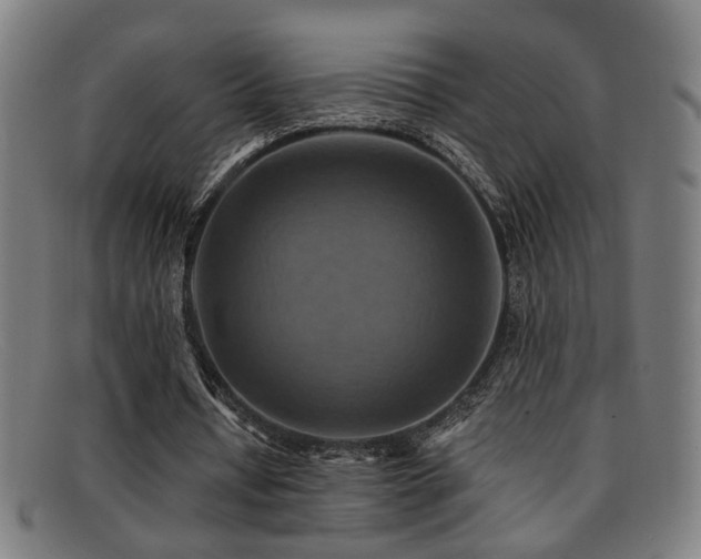 X0000092110434200709121621