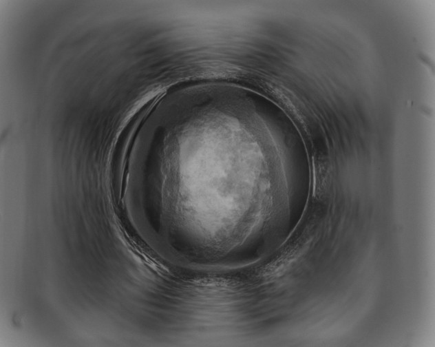 X0000092110435200709121621