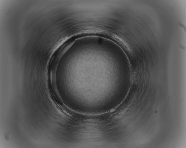 X0000092110436200709121621