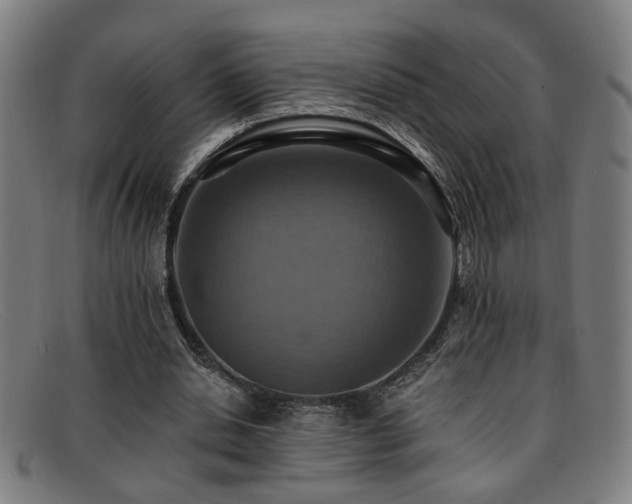 X0000092110438200709121621