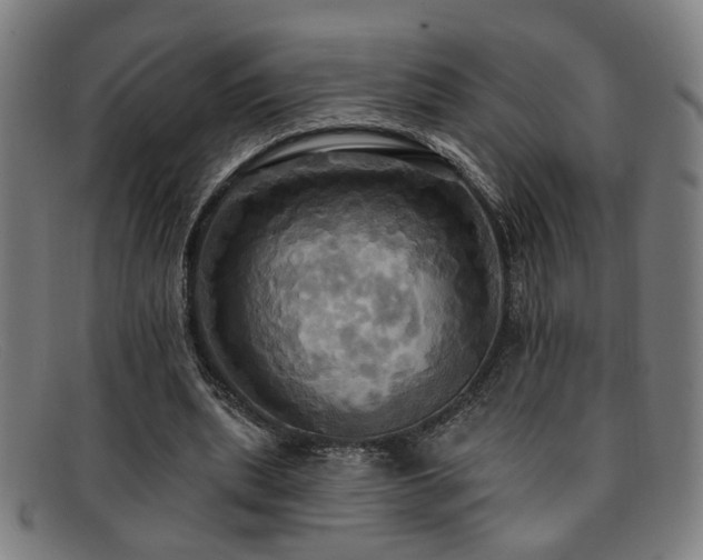 X0000092110439200709121621