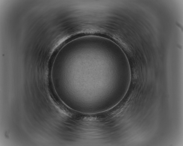 X0000092110440200709121621