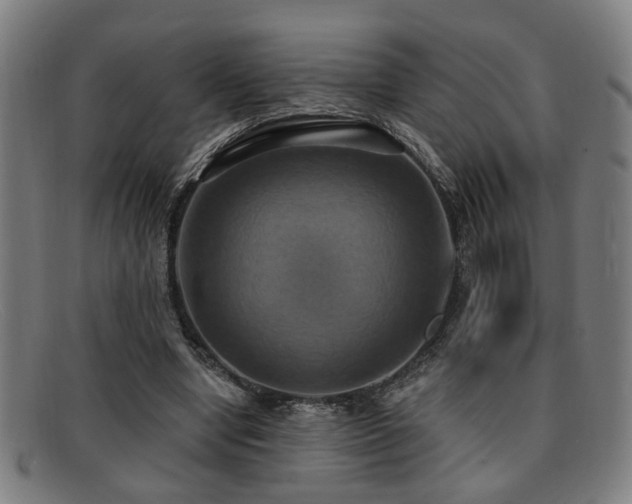 X0000092110442200709121621