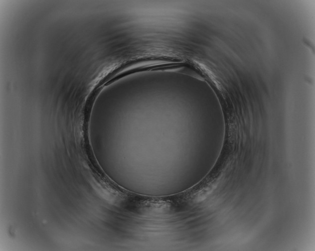 X0000092110443200709121621