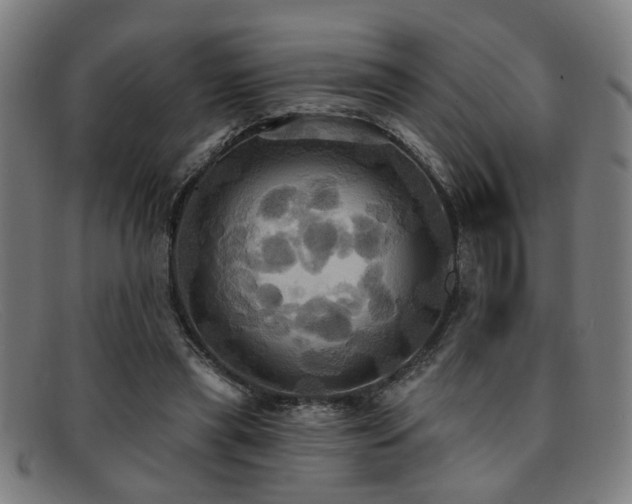 X0000092110445200709121621