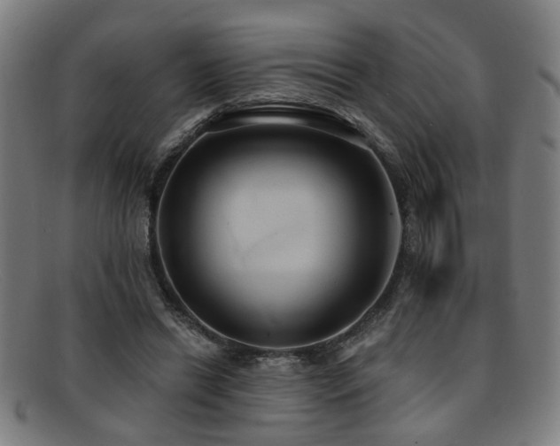 X0000092110446200709121621