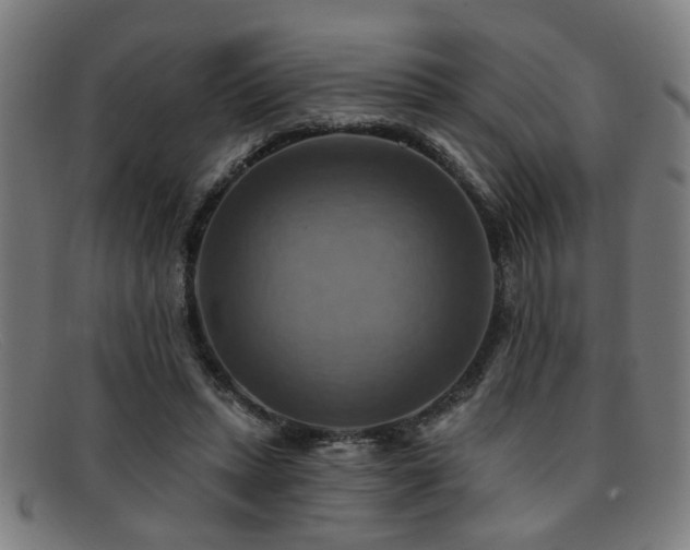 X0000092110447200709121621