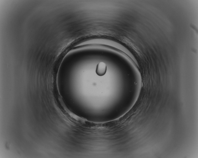 X0000092110448200709121621