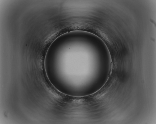 X0000092110450200709121621