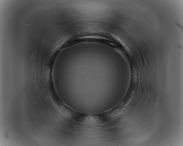 X0000092110451200709121621