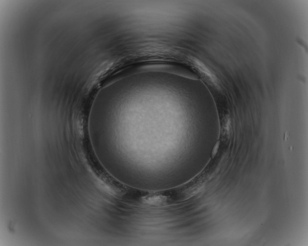 X0000092110452200709121621