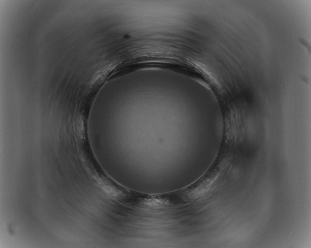 X0000092110453200709121621