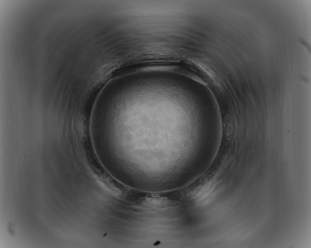 X0000092110455200709121621