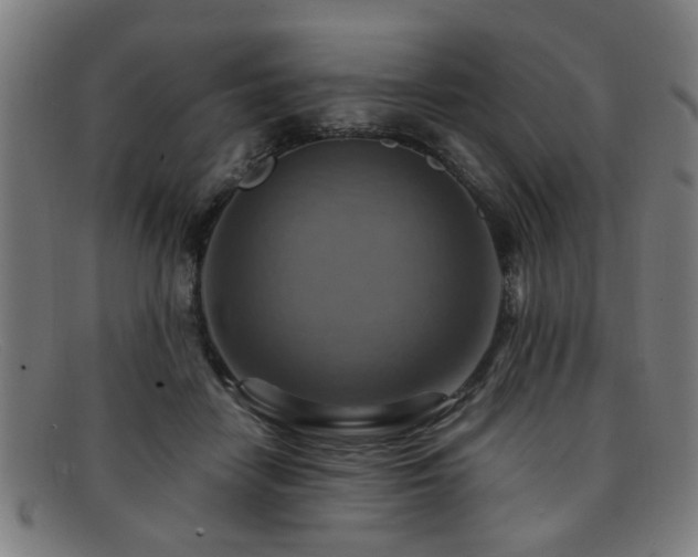 X0000092110458200709121621