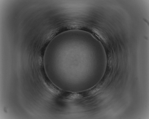 X0000092110459200709121621