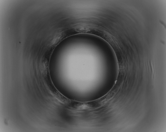 X0000092110460200709121621