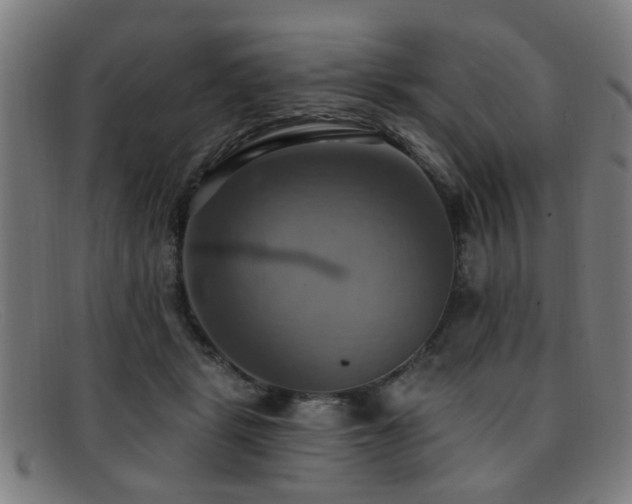 X0000092110461200709121621