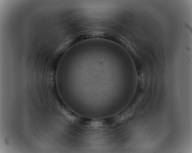 X0000092110462200709121621