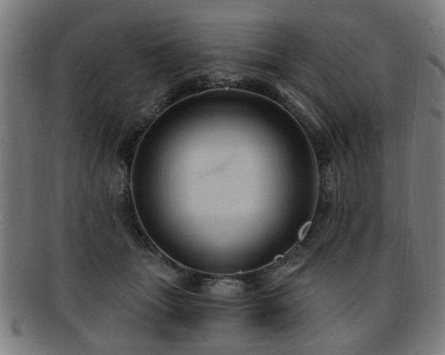 X0000092110463200709121621