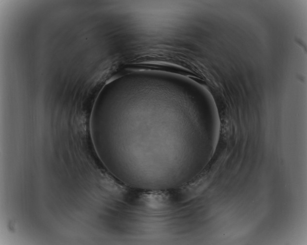 X0000092110466200709121621