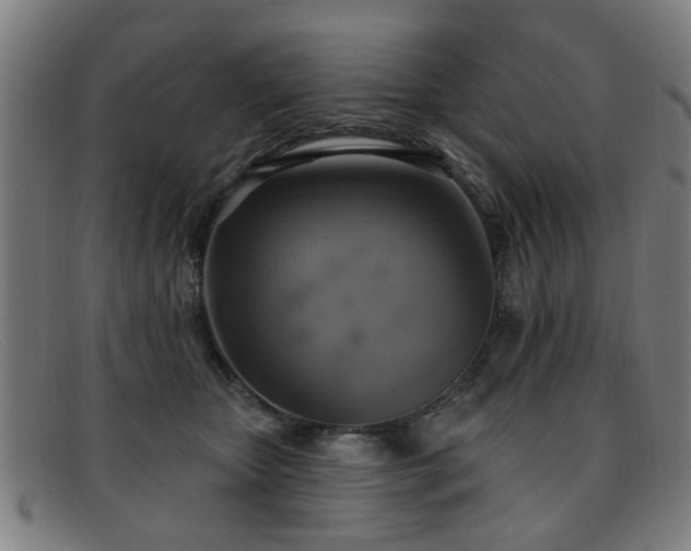 X0000092110467200709121621