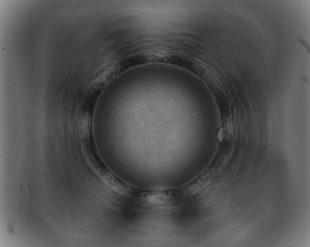 X0000092110468200709121621