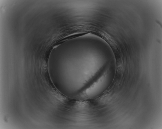 X0000092110469200709121621