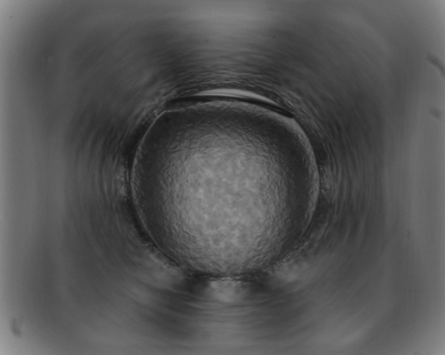 X0000092110470200709121621