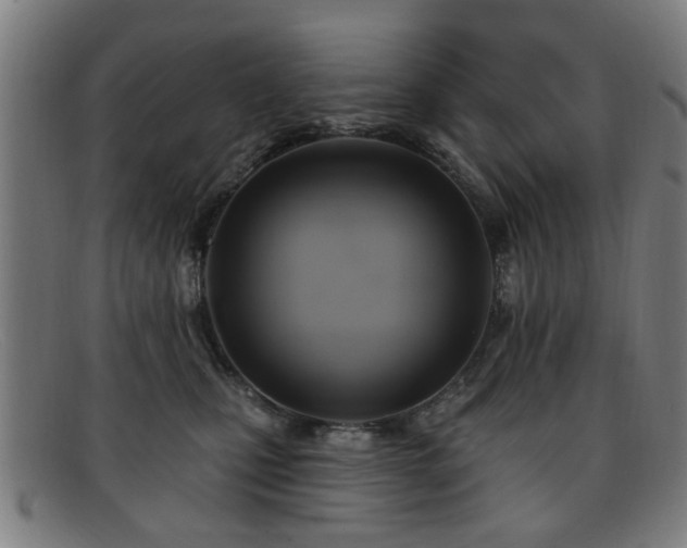 X0000092110471200709121621