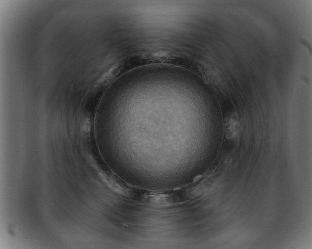 X0000092110472200709121621