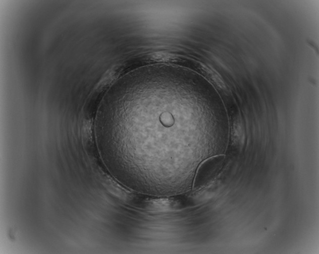 X0000092110473200709121621