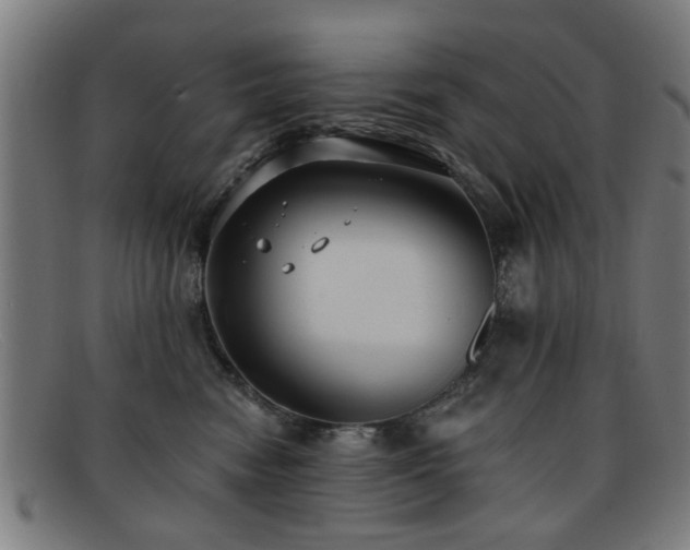 X0000092110474200709121621