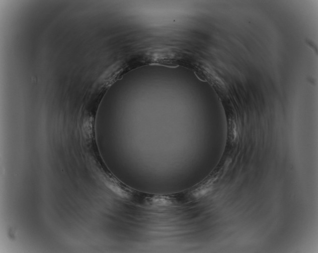 X0000092110475200709121621