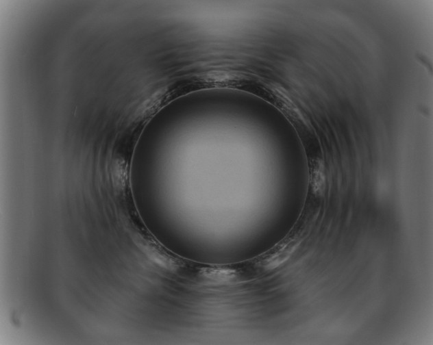 X0000092110476200709121621