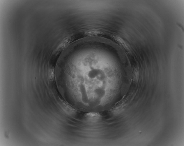 X0000092110477200709121621