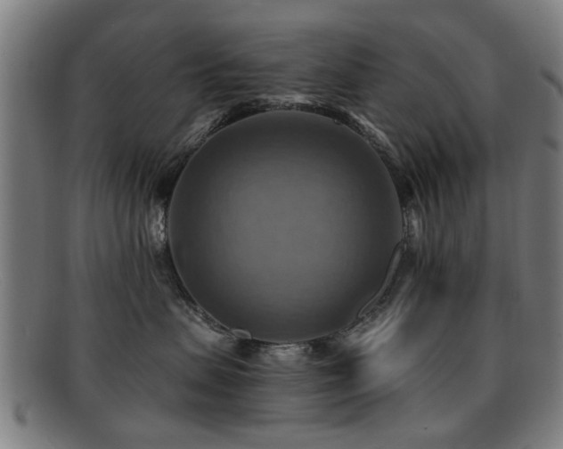 X0000092110479200709121621