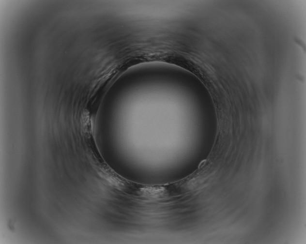 X0000092110480200709121621