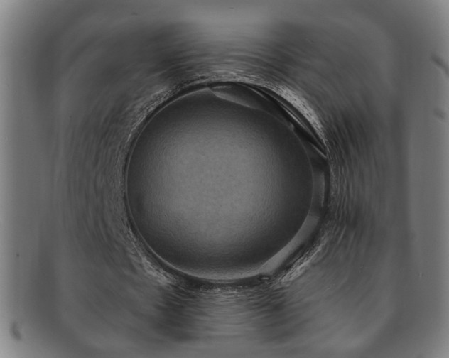 X0000092110481200709121621