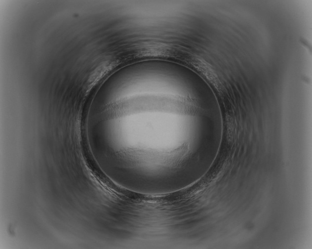 X0000092110482200709121621